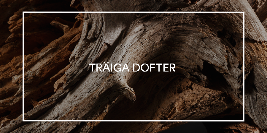 Doftfamilj - träiga dofter